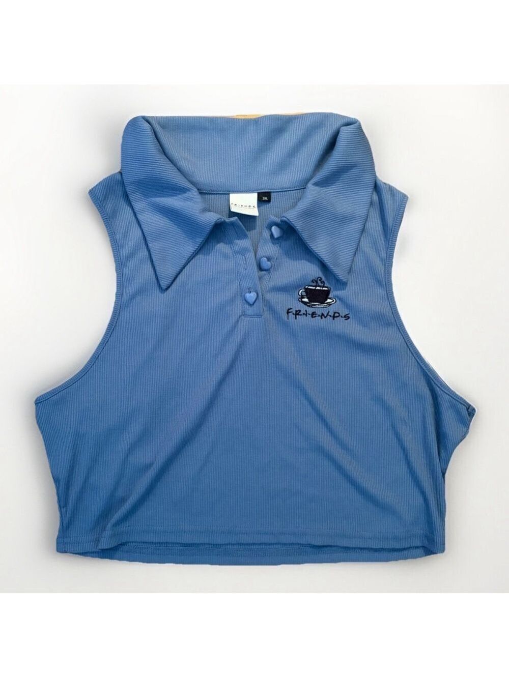 Friends Blue Ribbed Knit Crop Top - 2XL